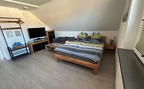 1 Zi Apartment im Stadtzentrum